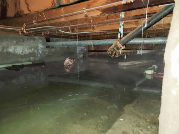 Best 24/7 water damage repair  in Montebello, CA