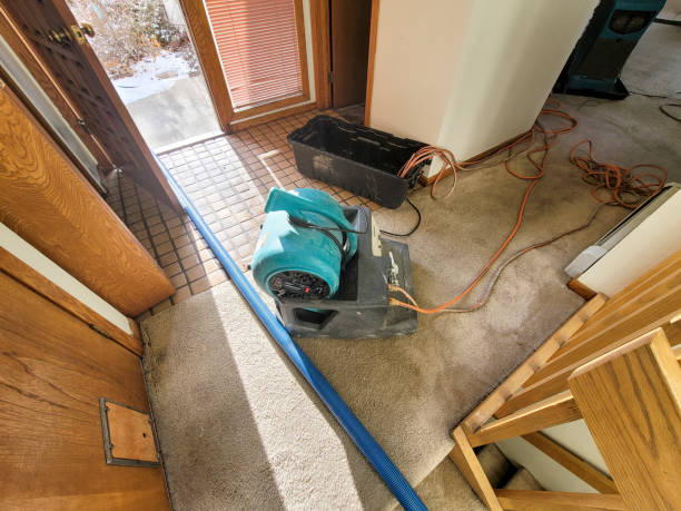 Best Flooded house restoration  in Montebello, CA