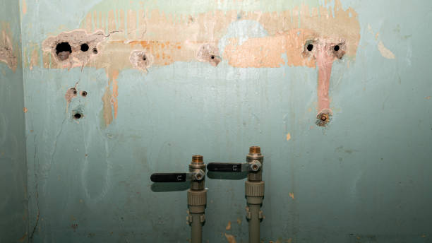 Best Water damage contractors near me  in Montebello, CA