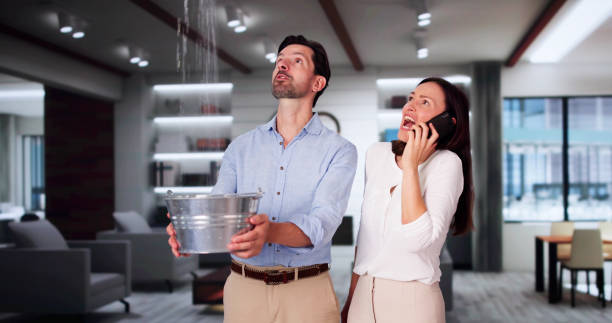 Best Ceiling water damage repair  in Montebello, CA
