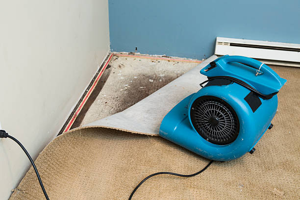 Best Fire Damage Restoration  in Montebello, CA